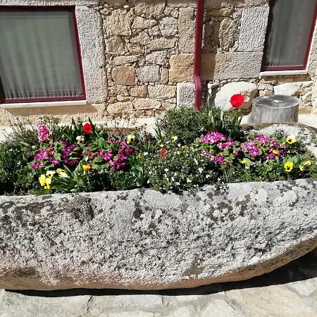 Carya Tallaya - Vale das Éguas