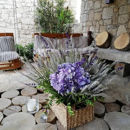 Carya Tallaya - Vale das Eguas