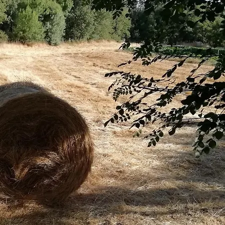 Carya Tallaya - בית כפרי *