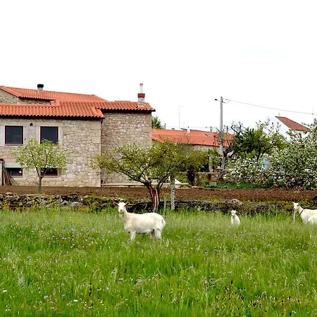 Country house Carya Tallaya - Vale das Eguas